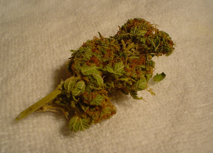 Marijuana Rehab Marijuana Rehab